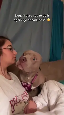 THE DOG WAS TOO STUNNED TO SPEAK💀🤣 🎥@Adrian Chateau Wiles #ladbible #fyp #foryourpage #barkingchallenge #funnydogsoftiktok #unexpectedvideo