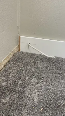 #baseboard #flooring