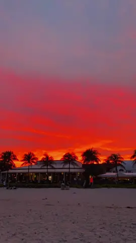🌅✨