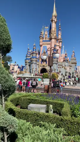 Magic 🪄#disneyworld #disneycastle #disney50thanniversary #disney50th