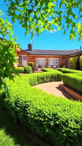 Before & After.. ✌ #beforeandafter #lovemyjob #hedging #buxus #oddlysatisfying #work #Aussie #hedgetok #australia  #worklife #garden #gardening #fun
