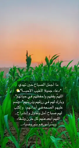 #صباحكم_معطر_بذكر_الله #اذكار_الصباح