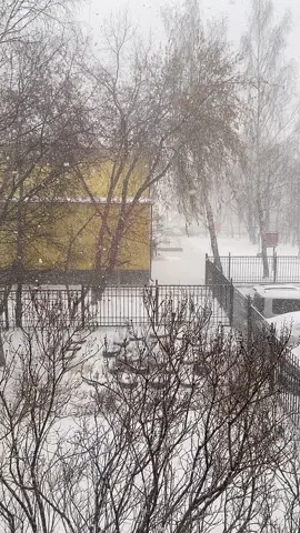 Смотрите #снег #зима #snow #новыйгод2021 #видизокна #снегидет #снегопад #метель #пурга #юмор #прикол #tiktok #лайк #follow #доматепло #настроениеогонь