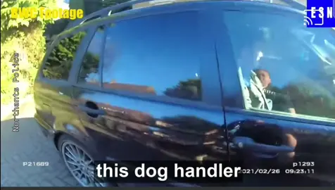 #fyp #fypシ #k9  #k9unit  #dog  #police