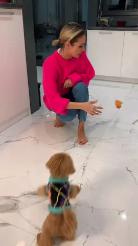 🐶 ❤️