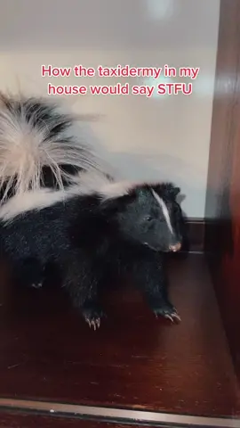 #vultureculture