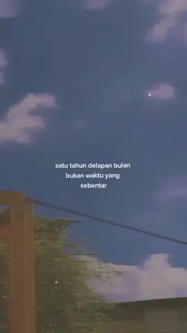 Balas @purnamacanss06