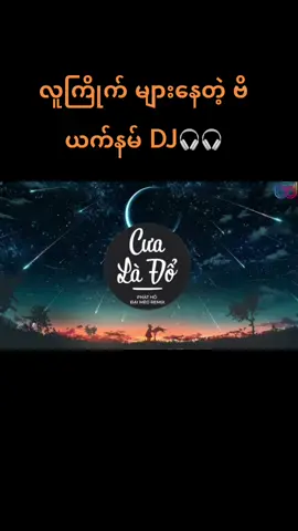 🇻🇳 Vietnam Dj🎧🎧🇲🇲#fyp #foryoupage #tiktokmyanmar #foryou #tiktok #view #dj