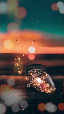 #مسسسسسسسسسسسساء_الورداااات🌹✨🌹✨