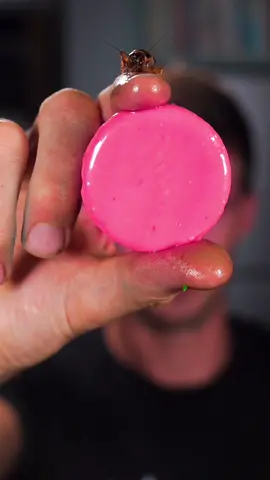 Only OGs will know what this is 😉 😋 #squidgame #candy