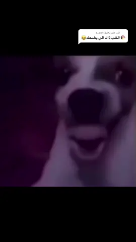 الرد على @z_cvpl اكتبلي الرياكشن الي تبيني انزاله في الكومنت ،، لايك وفولو لاهنت 😍💙 #اكسبلور #فولو #لايك #رياكشنات #رياكشن #تيك_توك #انستاقرام