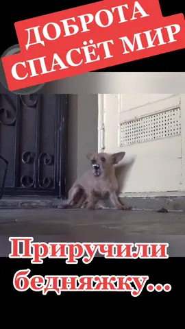 #доброта #благодарность #благодарность #поступок