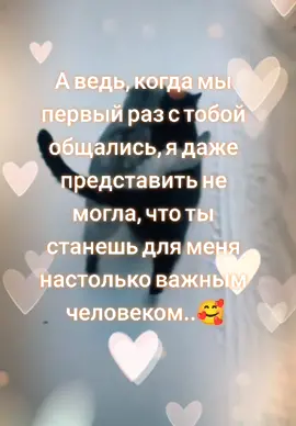 полгода - это много или мало..?