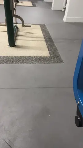 get this pussy to the top of the sound #fyp #nanno #cat #forehead #singlemom #catsoftiktok