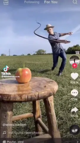 #taekoffskits