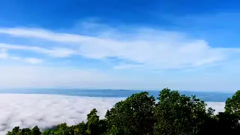 Săn mây tại đỉnh núi Chứa Chan - Đồng Nai