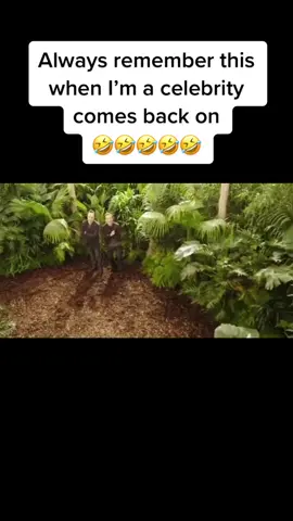 #imacelebrity #antanddec #keithlemon #funny #parody