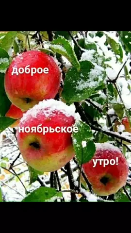 Доброе утро #чудесного дня #счастья #друзья #хорошегонастроения #добра