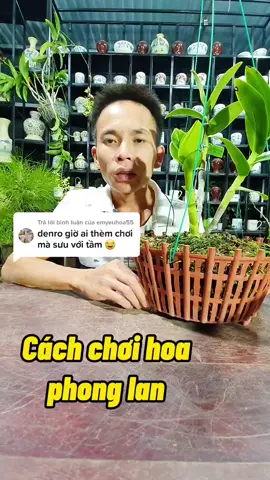 Trả lời @emyeuhoa55 cách chơi hoa phong lan #landenro #hoalangiong #hoalan #hoalandotbien #namxelan90 #vmm