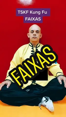 TSKF Kung Fu #tskf #kungfu #wushu #louvaadeus #prayingmantis  #artesmarciais #shaolin #atividadefisica #saude