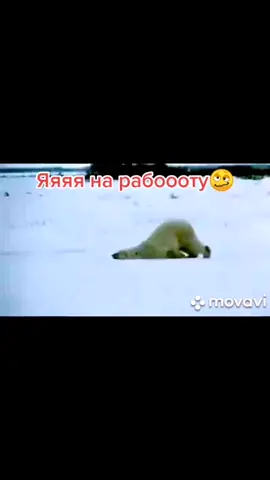 После отпуска с утрааа на работу... #сутранаработу #конецотпуска #врекомендации