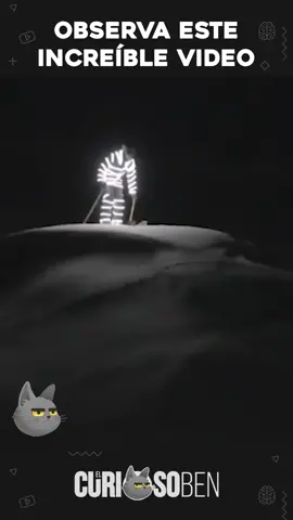 OBSERVA ESTE INCREÍBLE VIDEO #curiosoben #ben #curiosidades #curiosidad #fyp #AprendeEnTikTok #video #increible #xyzbca