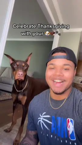All dogs deserve a Barksgiving! #fyp#viral#barkbok @BARK