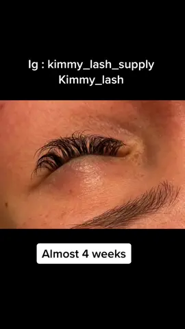 #CowboyBebop #fyp #lashtok #lashextensions #volumelashes