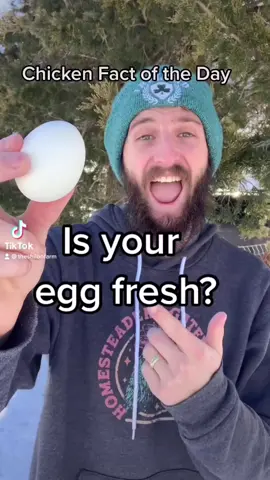 Is your 🥚fresh? #egg #eggs #tip #tips #hack #wow #cool #fresh #food #fact #facts #fyp #foryou #shilohfarm #lol #chicken #chickens #funfact #funfacts