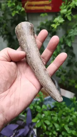 Amazing Craftsman makes Bull Horn Ring #crafts #viralvideo #bullhorns #ring #idea