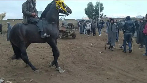 سوق الثلاثاء الخميسات فيديو كاميل fatah vlogs اليتيوب