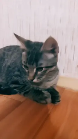 #SteampodБудьРазной #воронежгородкуража✌️ #яхочуврек