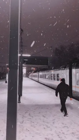 Сегодняшний снег ❄️