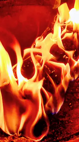 #christmas #livewallpaper #livewallpapers #fire #camping #warm #photography #pixel4a5g #slowmo #cowboybebop