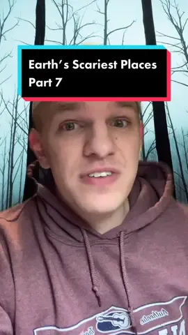 Reply to @_jeremylamb Suicide Forest 😳 #fyp #scary #horror #horrifying #creepy #paulbrothers #loganpaul #jakepaul #japan