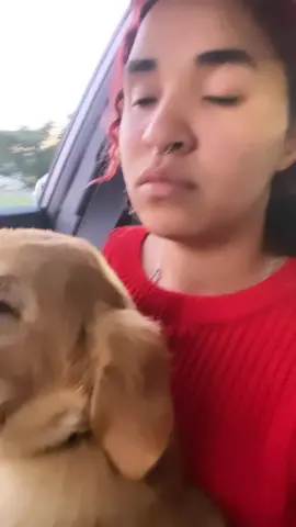 Más que jode 🥰