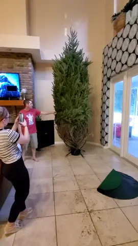 #Christmastreefail #moorechristmas #epicfail #christmasvacation #itsnotgoinginourlivingruss #itsabeautclark