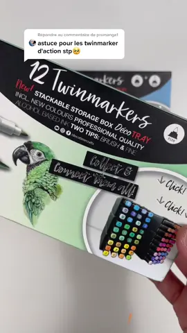 Répondre à @promanga1 test des feutres alcool Twinmarkers d’Action #feutre #feutrealcool #twinmarker #action #materielsdedessin #astuce #test #pourtoi #tuto