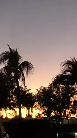pure bliss #fypシ #sunset