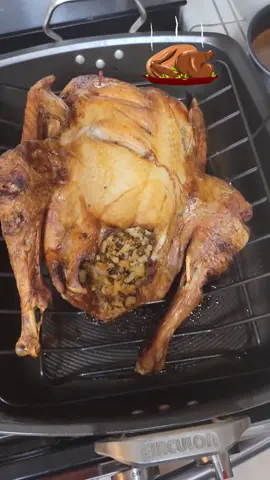 #happythanksgiving  #elpericazo #perinotas #felizdiadeacciondegracias🦃🍁🍽🙏🏼  #pavo #turkey #guajolote #cbradio #cervezafria #pistiando #parranda #trucking #traileros #trailers  #hi-qantenna #military #jamon #hamiltonmusical