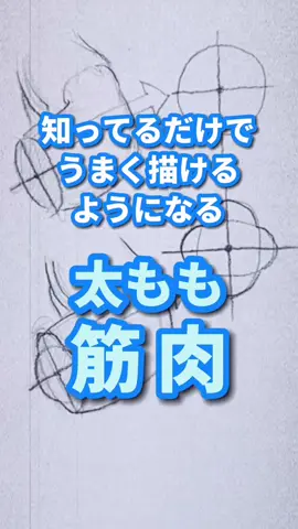 太ももの筋肉。楕円2つの組み合わせで覚えると簡単だよ‼️😜👍  #鉛筆画 #デッサン #人物画 #イラスト #ヨシメソ #howtodraw #本気だしてみた #TikTok教室