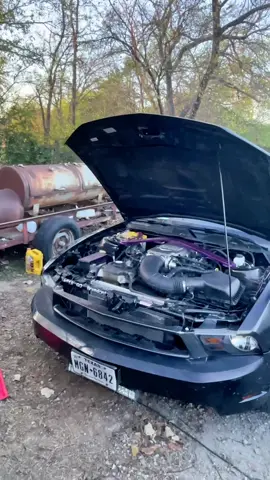 Back better than before 🥸 #stanggang #wanggang #mustang #racecar #fyp