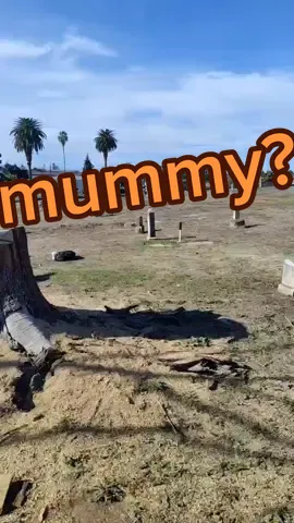 #mummy #graveyard #fyp #scary #cursed