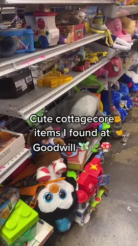 Felt rushed bc I was with my bf. #cottagecore #goodwill #mushroom #goodwillfinds #goodwillhaul #fyp