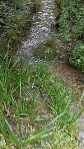 #ChorroBlanco #Rupahuasi #Catilluc #SanMiguel #Cajamarca