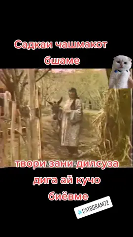 мувофики хохиши шумо дустон Лайку подписатьсяро фаромуш накунед ❤️#точикониолам #точиконидунё #точикистон #точикон #бапеш #точикона #точики