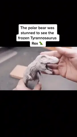 Tell me, what did you buy on Black Friday?