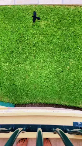 Guess who’s back #cancun