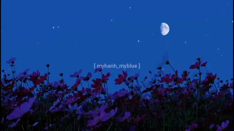 Xin chào tháng 12 - tháng cuối cùng trong năm . Hy vọng mọi điều may mắn, trọn vẹn và tốt đẹp nhất sẽ đến với mọi người #myhanh_myblue #douyin #xinchao #thang12