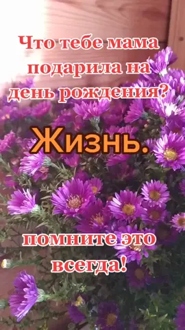 #ОткрыткаМаме